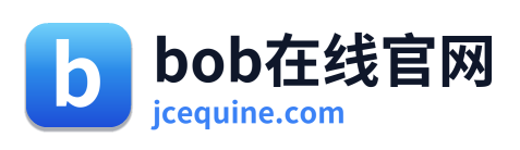 bob在线官网 Logo
